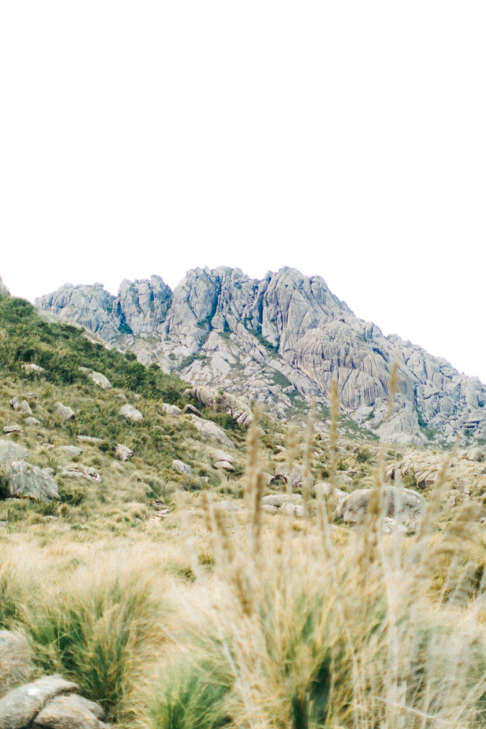 Pico das Agulhas Negras